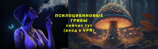 синтетический гашиш Арсеньев