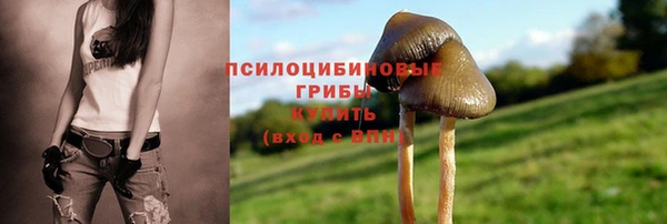 синтетический гашиш Арсеньев