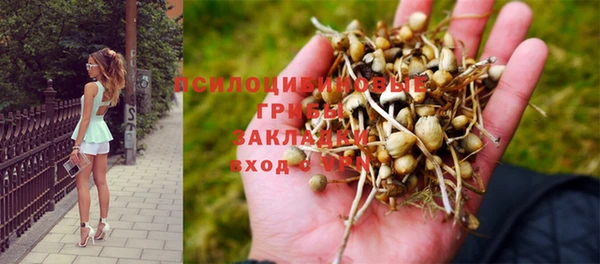 соль курить ск Аркадак