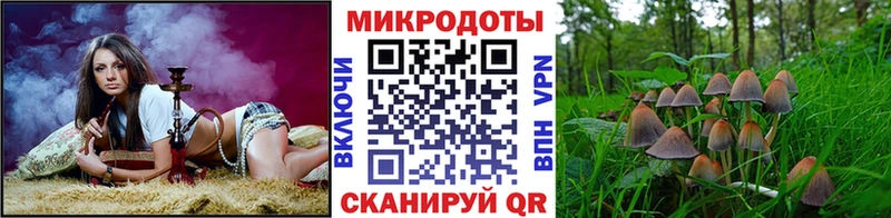 Галлюциногенные грибы GOLDEN TEACHER Павловский Посад